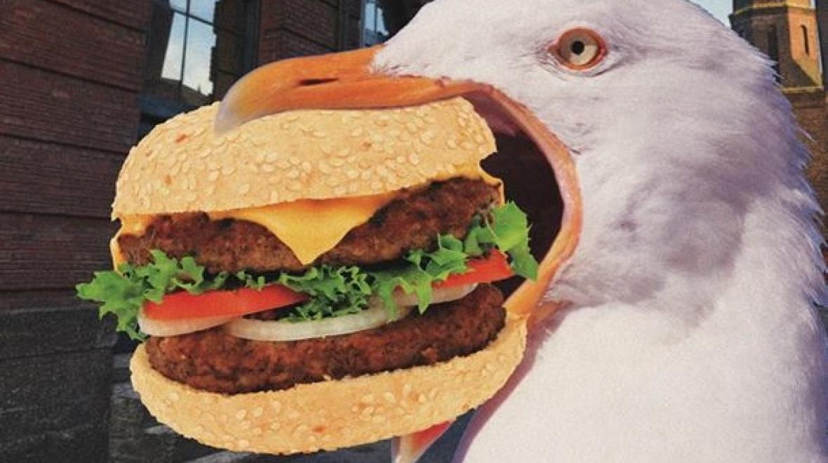 Bites Seattle Area Family Fun Calendar ParentMap